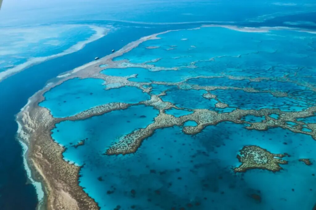 Man dies after shark attack on Australia’s Great Barrier Reef