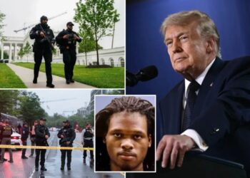 Trump says gunman who opened fire at White House checkpoint had ‘possible obsession’ with executive mansion