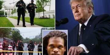 Trump says gunman who opened fire at White House checkpoint had ‘possible obsession’ with executive mansion