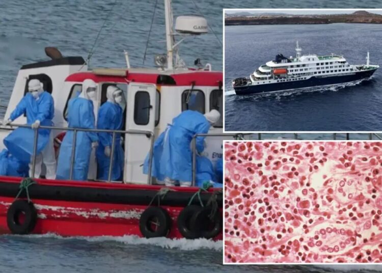 US moving to evacuate American passengers aboard hantavirus cruise ship, quarantine in Nebraska