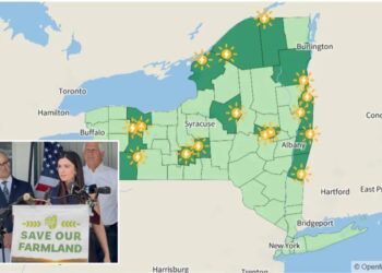Resistance grows against New York’s 18 planned solar farms locals say ruin land, kill animals and won’t create much energy