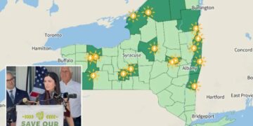 Resistance grows against New York’s 18 planned solar farms locals say ruin land, kill animals and won’t create much energy