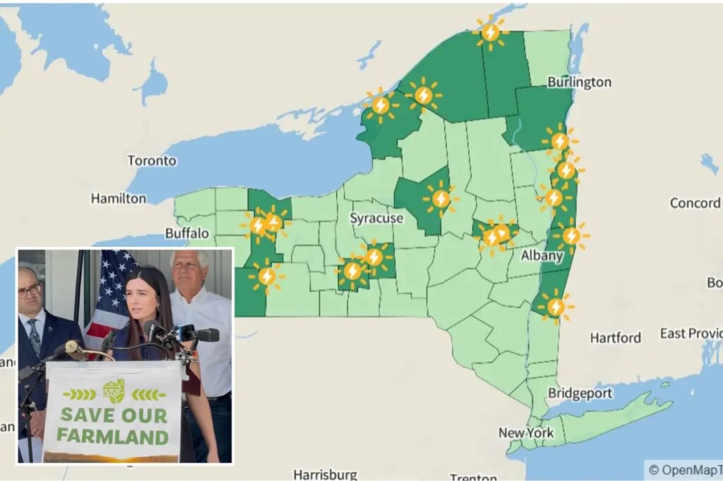 Resistance grows against New York’s 18 planned solar farms locals say ruin land, kill animals and won’t create much energy