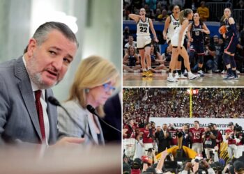 Hail this bipartisan fix to end the chaos in college sports