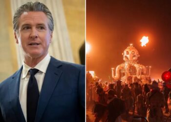 Gavin Newsom can’t clear brush, but funds ‘cultural burns’
