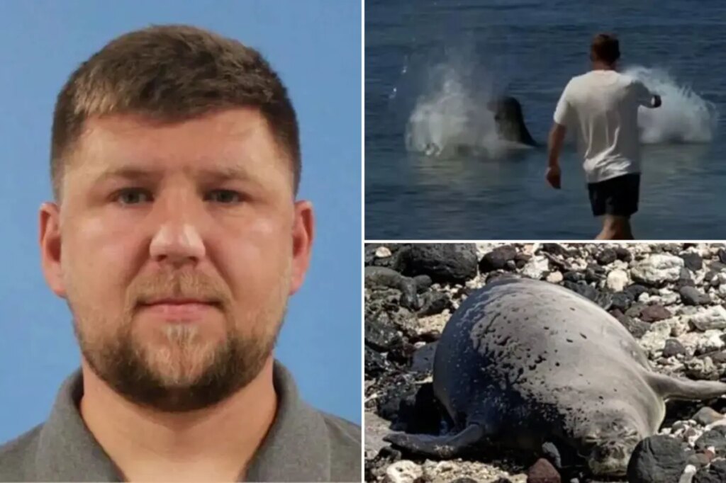 Tourist arrested after viral video caught him hurling rock at endangered seal in Hawaii