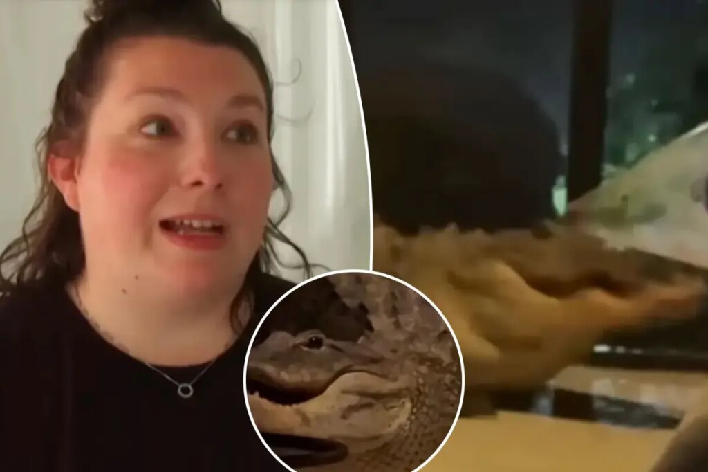 Two alligators caught on video brawling on Florida mother’s front porch — just feet from sleeping baby inside