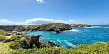 Swimmer killed in shark attack off Australian coast