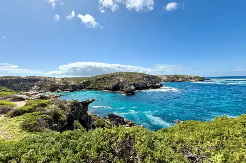 Swimmer killed in shark attack off Australian coast
