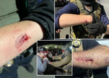 Anti-ICE agitator charged with allegedly biting officers during Delaney Hall protest