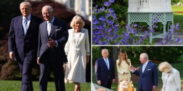 Melania Trump’s White House beehive and honey strike sweet note during King Charles III’s historic stateside visit