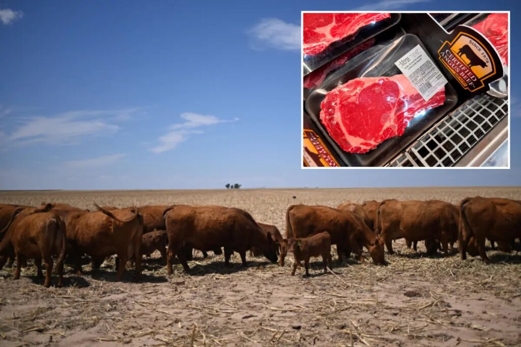 Here’s what keeping beef prices so high ahead of summer BBQ season — and why it could take years to see relief