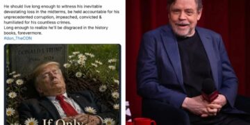 White House lashes out at ‘Star Wars’ actor Mark Hamill for post of Trump in grave: ‘One sick individual’