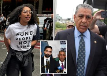 Mamdani backs DSA-endorsed congressional candidate over longtime incumbent Adriano Espaillat