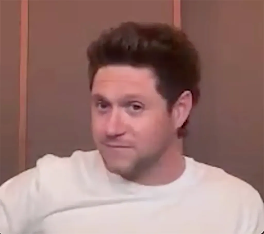Niall Horan with a quizzical expression.