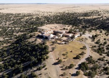 Epstein reporter says they were ‘permanently injured’ after alleged ‘pulsed energy’ attack