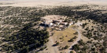 Epstein reporter says they were ‘permanently injured’ after alleged ‘pulsed energy’ attack