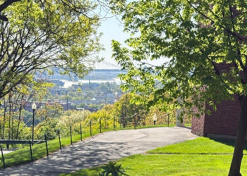 How Anne Frank Is Linked to a Sapling on Staten Island