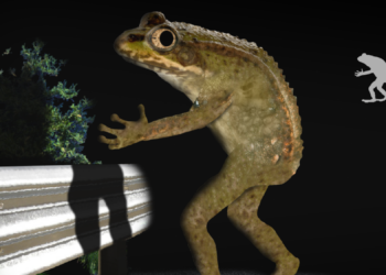 Ohio Has a State Bird and Flower, Now It Wants a State Cryptid Too