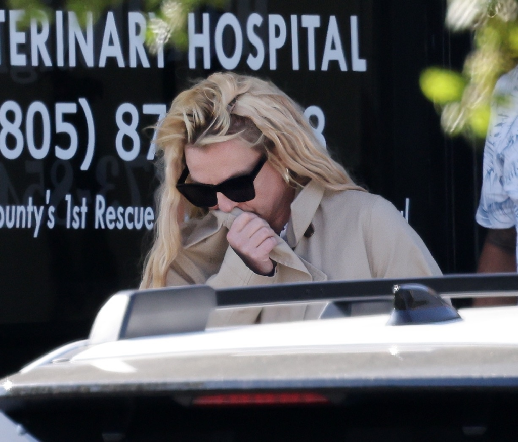 Britney Spears in a trench coat, wearing sunglasses and holding her hand to her mouth, standing in front of a veterinary hospital.