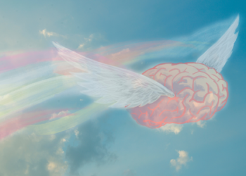 People Learned to Fly With VR Wings, Then Their Brains Did Something Weird