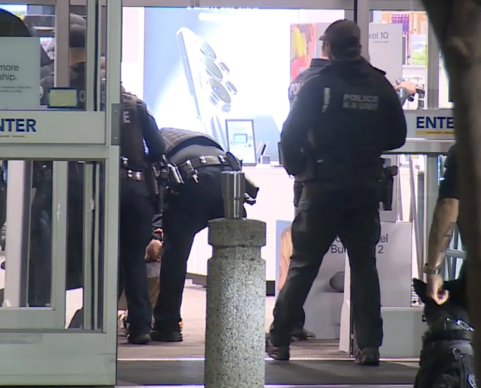 Police officers inside a Best Buy store.