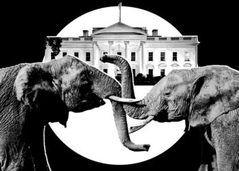 It’s Officially Election Season In Trumpworld