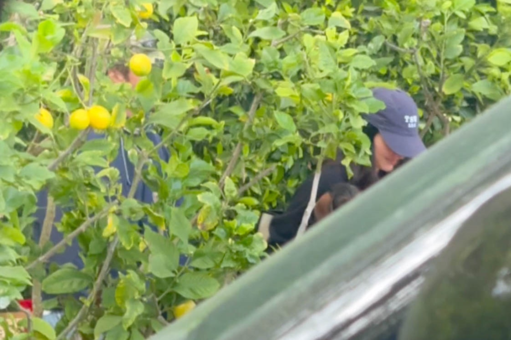 Kendall Jenner and Jacob Elordi smiling during a breakfast date in Santa Barbara, partially obscured by green leaves and yellow lemons.