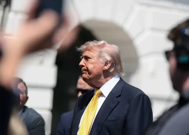 ‘Great job’: Trump heaps praise on top official he pushed out