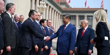 ‘Appalling’ director’s surprise appearance during Trump’s China trip incenses analyst