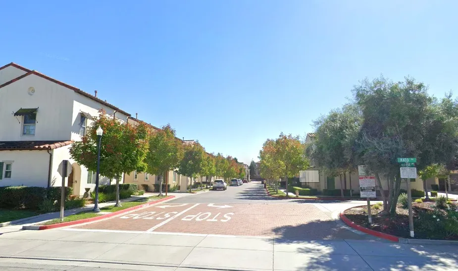 A residential street with stop signs painted on the ground and trees lining both sides.
