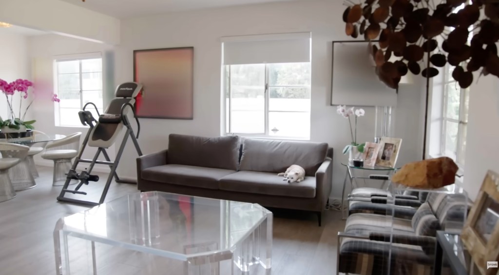 Living room with a gray couch, a small white dog, a glass coffee table, and an inversion table.