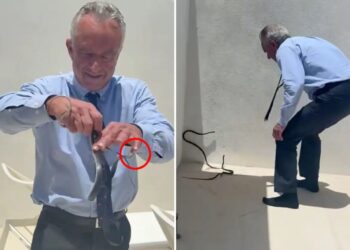 RFK Jr. snatches two black racer snakes off Dr. Oz’s patio in bonkers video