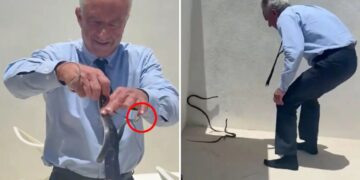 RFK Jr. snatches two black racer snakes off Dr. Oz’s patio in bonkers video