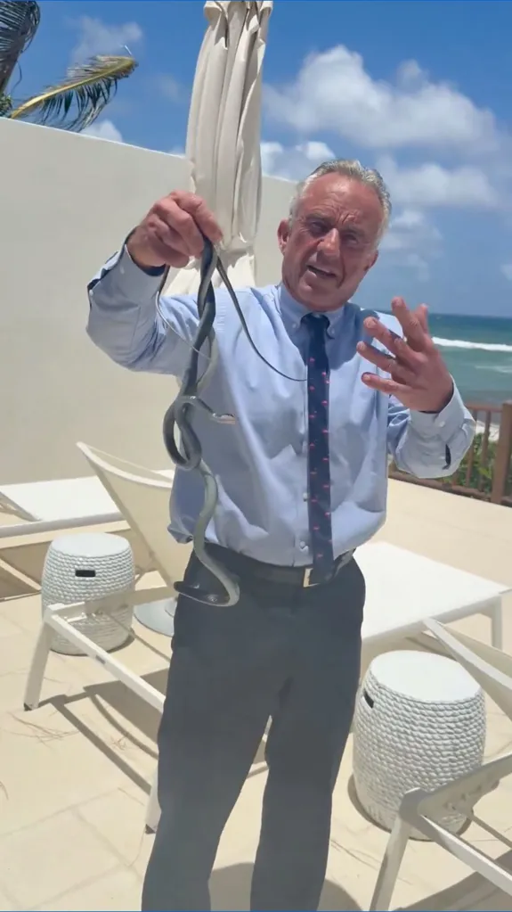 Robert F. Kennedy Jr. holding two black racer snakes on a patio by the ocean.