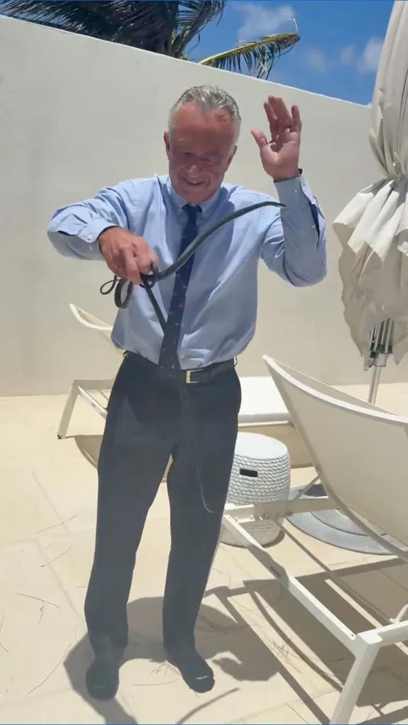 Robert F. Kennedy Jr. holding two black racer snakes on a patio.