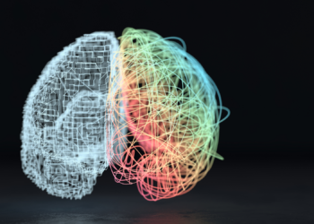 Scientists Finally Figured Out Why 90% of Humans Are Right-Handed