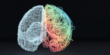 Scientists Finally Figured Out Why 90% of Humans Are Right-Handed