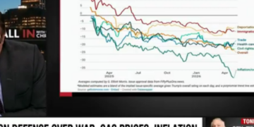 ‘Marveling over this’: Chris Hayes shocked as Trump’s polling falls ‘off the chart’