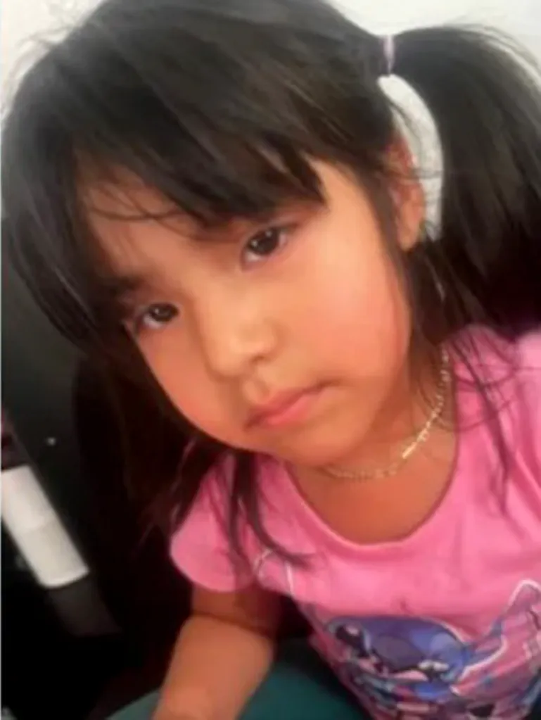 Headshot of 4-year-old Daleza Fregoso, a girl with black hair in pigtails, wearing a pink shirt and gold chain necklace.