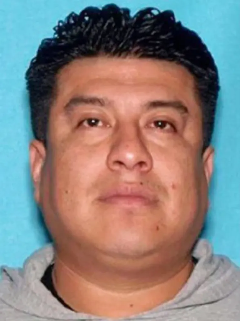 Headshot of Ruben Fregoso with dark, curly hair, dark eyes, and wearing a gray hooded sweatshirt, against a blue background.