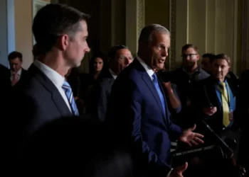 Senate GOP punts immigration bill amid big split with Trump