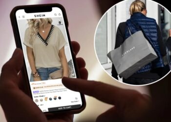 Sustainable fashion brand Everlane reportedly selling out for $100 million to fast-fashion tycoon Shein: ‘Tell me this is a joke’