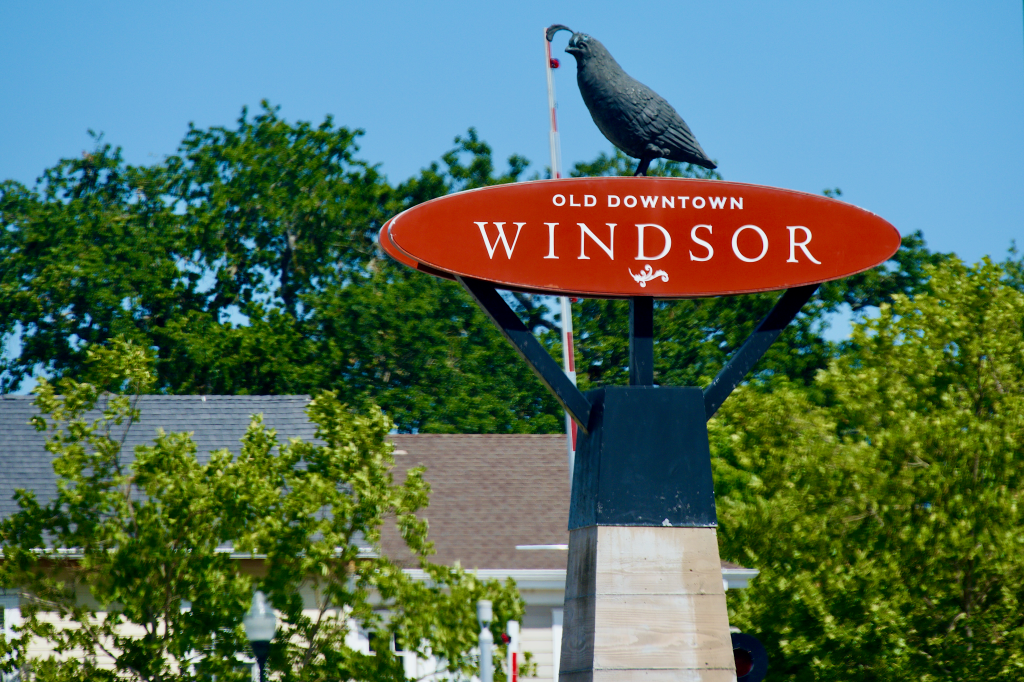 Sign for 