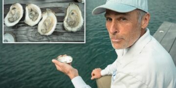 LI oyster growers shelled again — this time by warning of killer bacteria in water