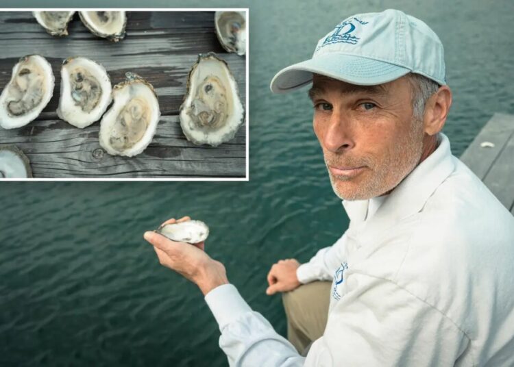 LI oyster growers shelled again — this time by warning of killer bacteria in water