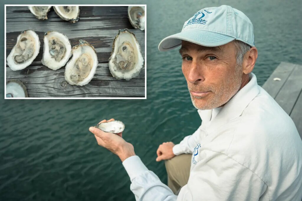 LI oyster growers shelled again — this time by warning of killer bacteria in water