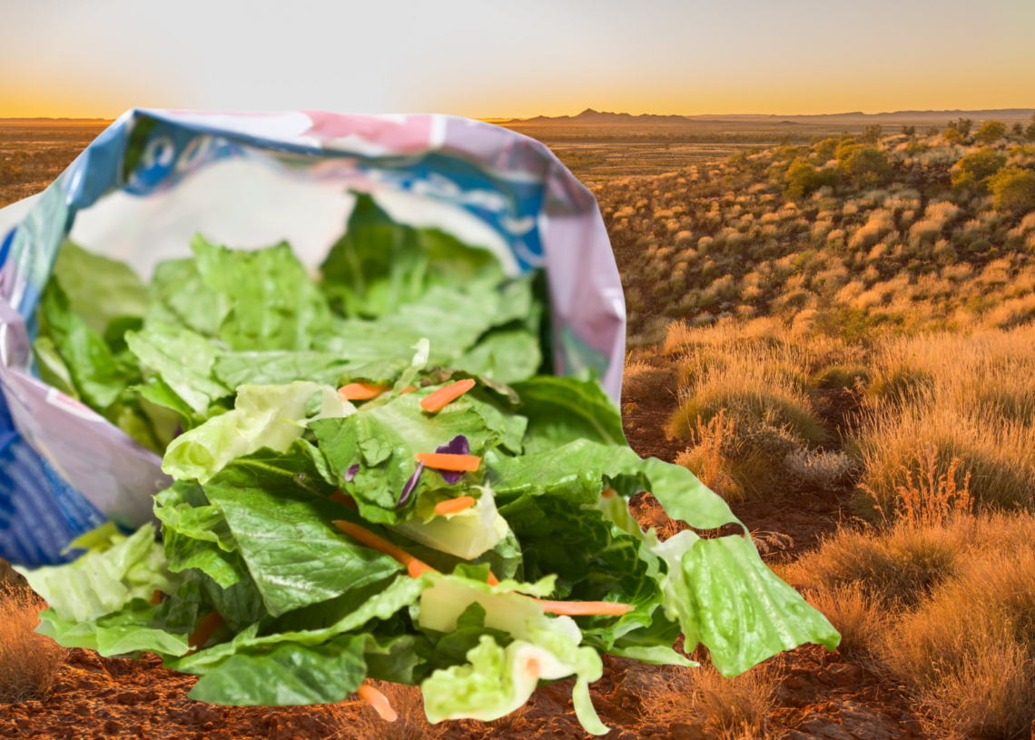 Australian Guy Opened a Bag of Lettuce and Found Something Alive Hiding Inside