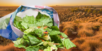 Australian Guy Opened a Bag of Lettuce and Found Something Alive Hiding Inside