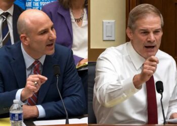 ‘That is in fact untrue!’ Witness snaps back as Jim Jordan descends into shouting fit